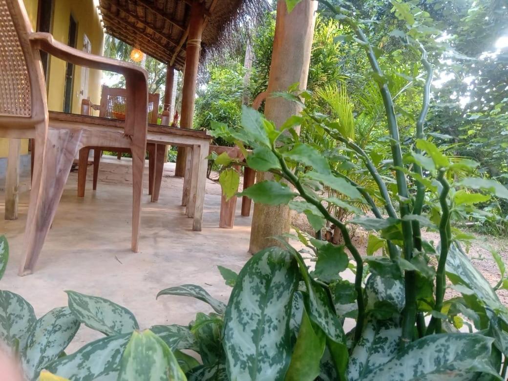 Kelaya At Hiriketiya Collection Hotel Dikwella Sur Exterior foto